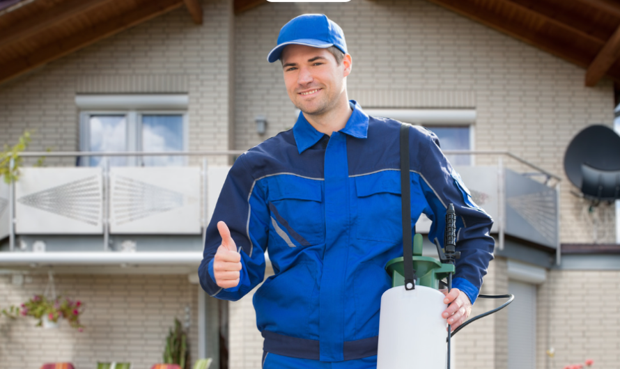 The Importance of Pest Control Specialists for Your Feng Shui Home